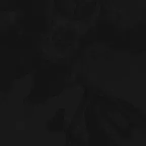 Dono yt