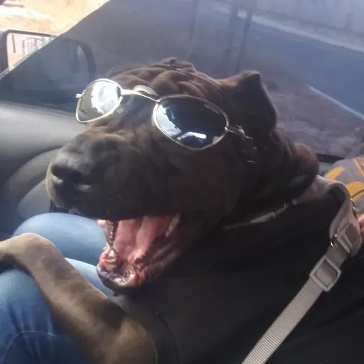 Episode 35 - "jUSt SLaP Yo SELf" ShOW