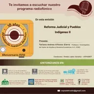 Reforma Judicial y Pueblos Indígenas II