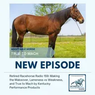 Making the Makeover, Lameness vs Weakness, and True to Mach by Kentucky Performance Products - Retired Racehorse Radio