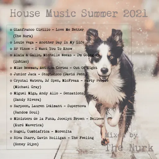 The Nurk - House Music Summer 2021