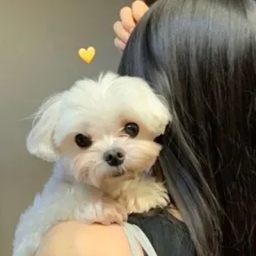 Jeemin.