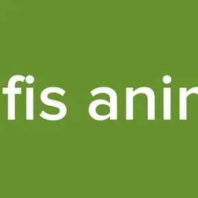 lofis anime