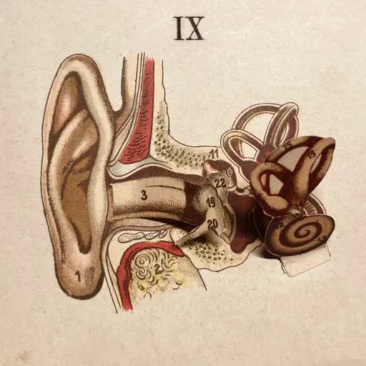 EPSA is Burning S27 E09 - Episodio exclusivo para mecenas