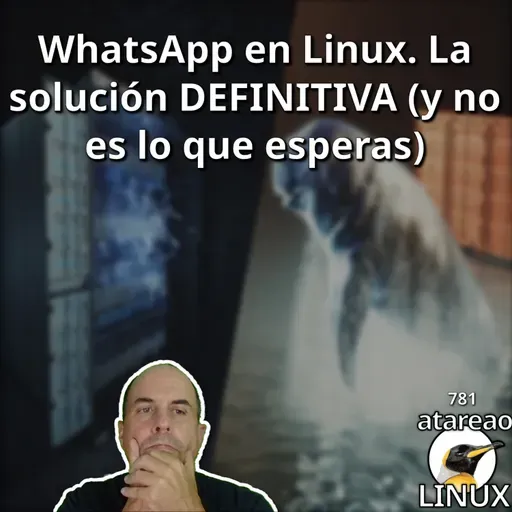 ATA 781 WhatsApp en Linux. La solución DEFINITIVA (y no es lo que esperas)