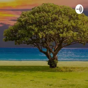 Al Abrigo de Su Gracia