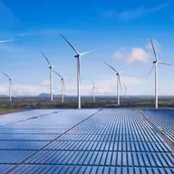 En Clave Rural: Talas de naranjos y olivos para energías renovables