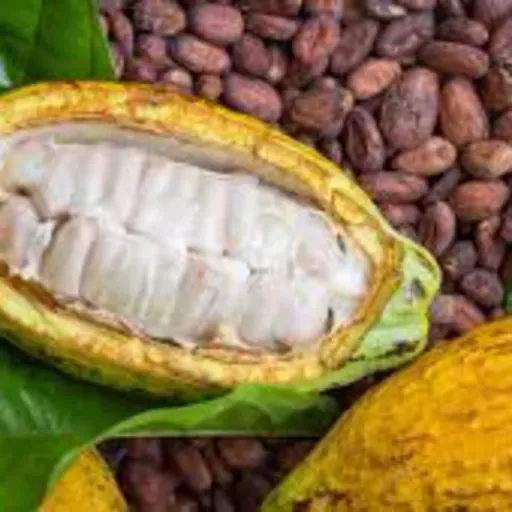 The Cocoa Butter Pod Project