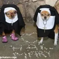 4 Mamarrachos Vol 5 (Episodio Santo)