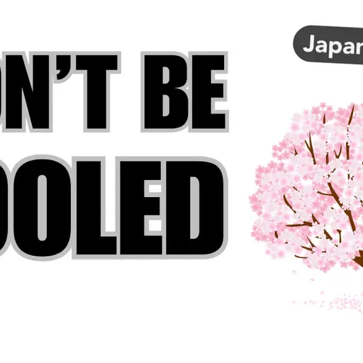 The ORIGINS of "scammy" SAKURA | Japan Station 203