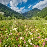 Pull from the heart, don't push from the head: Spreading Stories that Work with Matt Golding of Antidote