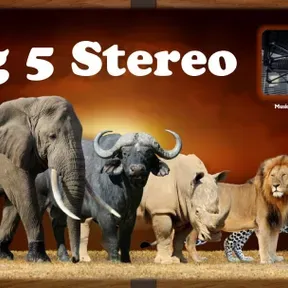BIG 5 STEREO 3