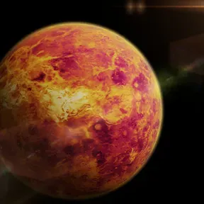 El clan de venus