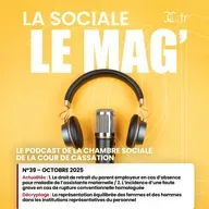 N°39 – Octobre 2025 | La représentation équilibrée des femmes et des hommes dans les institutions représentatives du personnel