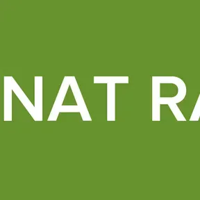 1000NAT RADIO