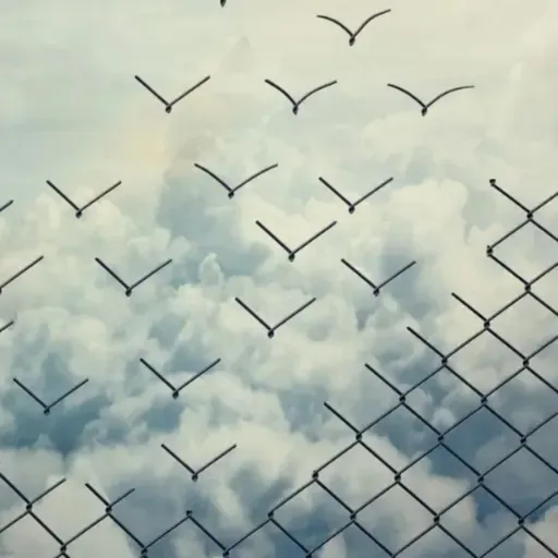 Ser livre é uma escolha KALA