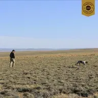 #332 |  Hunting and Researching Upland Birds on Working Western Landscapes with Dave Dahlgren
