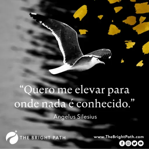 Voando com a intuição…