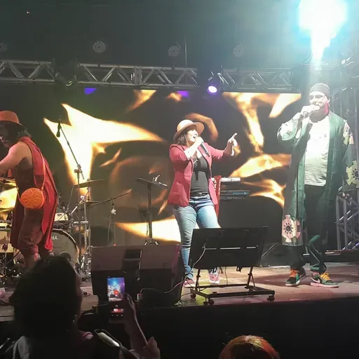 Podcast CineTvNews Virtual # 372 Dubladores One Piece Parte 05