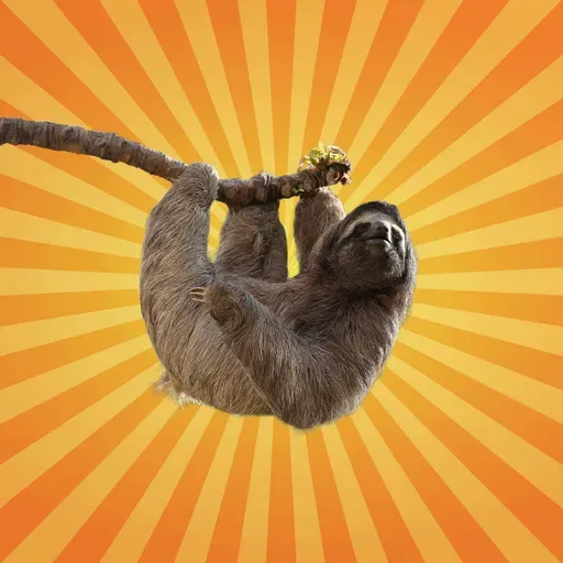 Le paresseux est un écosystème à lui tout seul