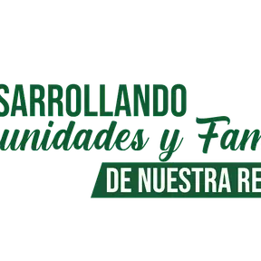 Soluciones Online