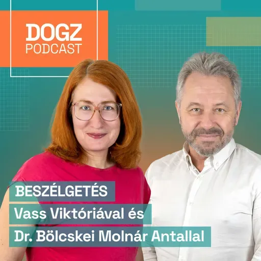 Kutyák tömege rokkan bele a szeretetbe: így etesd jól kedvenced