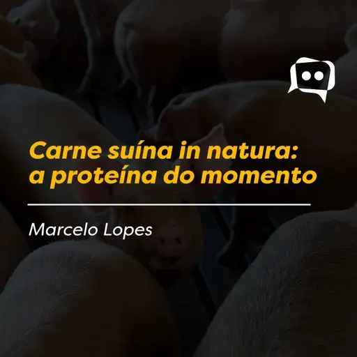 Carne suína in natura: a proteína do momento