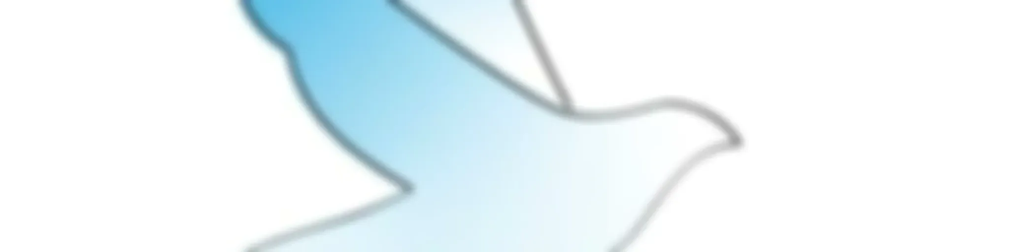 Gracia y Verdad Puebla