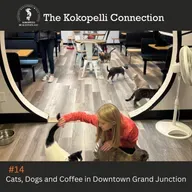 Cats, Dogs and Coffee in Downtown Grand Junction