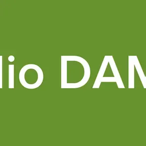 Radio DAMBE