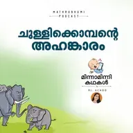 ചുള്ളിക്കൊമ്പന്റെ അഹങ്കാരം | മിന്നാമിന്നിക്കഥകള്‍ | Malayalam Bedtime Stories