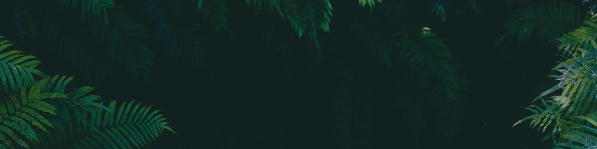 Zone420