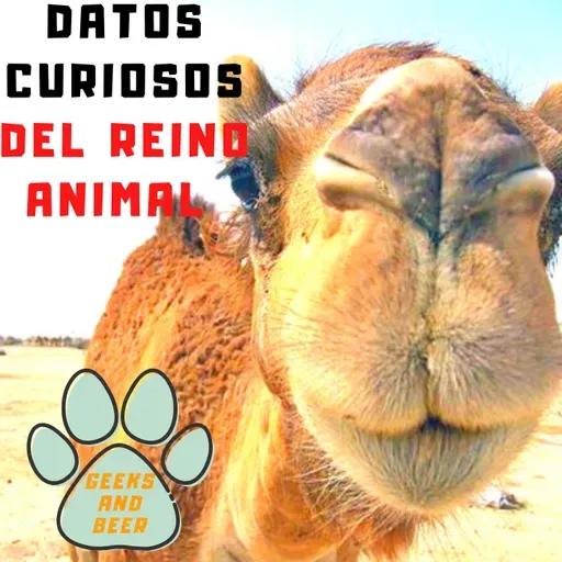 # Geeks and beers - Datos curiosos del reino animal
