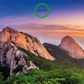 Rüya Tabirleri | Rüyanın Dili