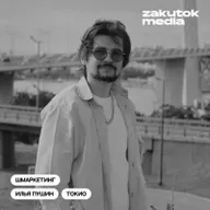 Илья Пушин, опыт, инструменты, рекомендации, действия