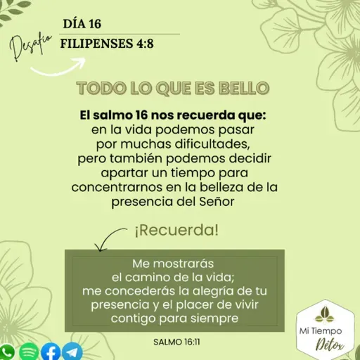 Día 16 - Desafío filipenses 4:8