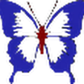 mariposa salvadorena radio
