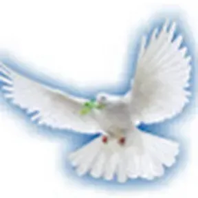 RADIO CRISTIANA FM AVIVAMIENTO