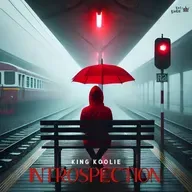 Introspection
