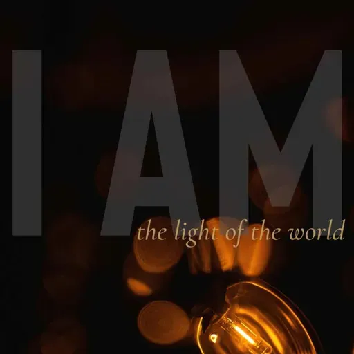 I AM: The Light of the World (Linette Booysen)