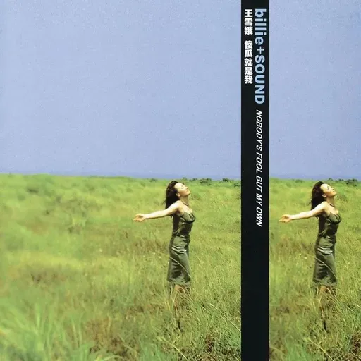 王雪娥 傻瓜就是我(1999)又创造了一个新Billie在乐坛发光又发亮