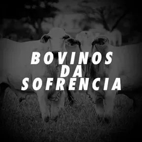 Rádio Periferap