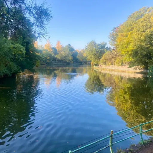 朝ラン11℃。ストルバイトを患って病院に行ってきた三男と大森元貴の母校と武蔵関公園と鵜。#1670 from Radiotalk