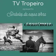 Símbolos de Nossa Terra - Cavalo Crioulo
