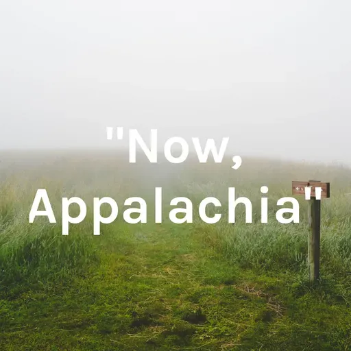 Now, Appalachia interview with founder of Loblolly Press, Andrew Mack