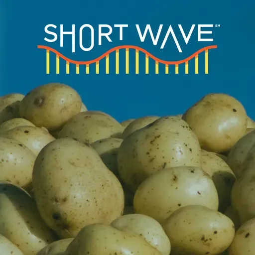 Solved: The Potato Origin Mystery