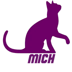 MICH FM