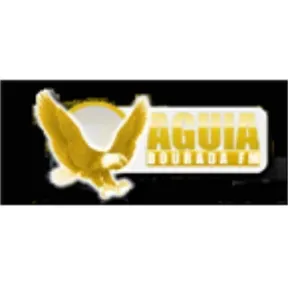 Rádio Águia Dourada FM