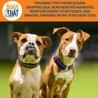 Training Tips From Susan: Shaping Q&A: Non-Reward Markers, Reinforcement Strategies, And Making Training Work For Every Dog