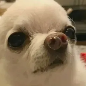 Sushi jeje